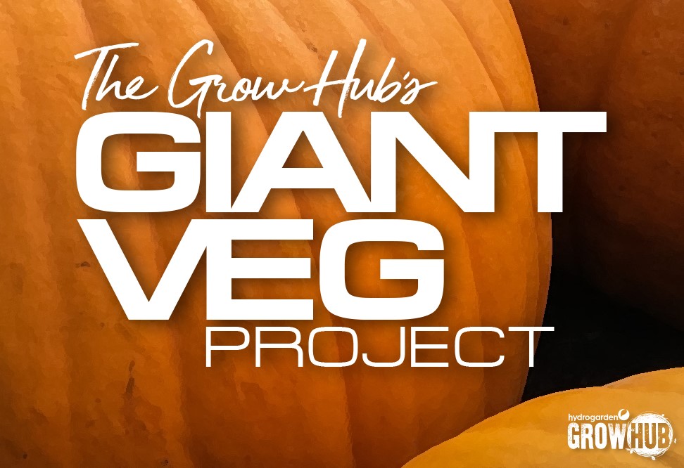 The Growhub's Giant Veg Project